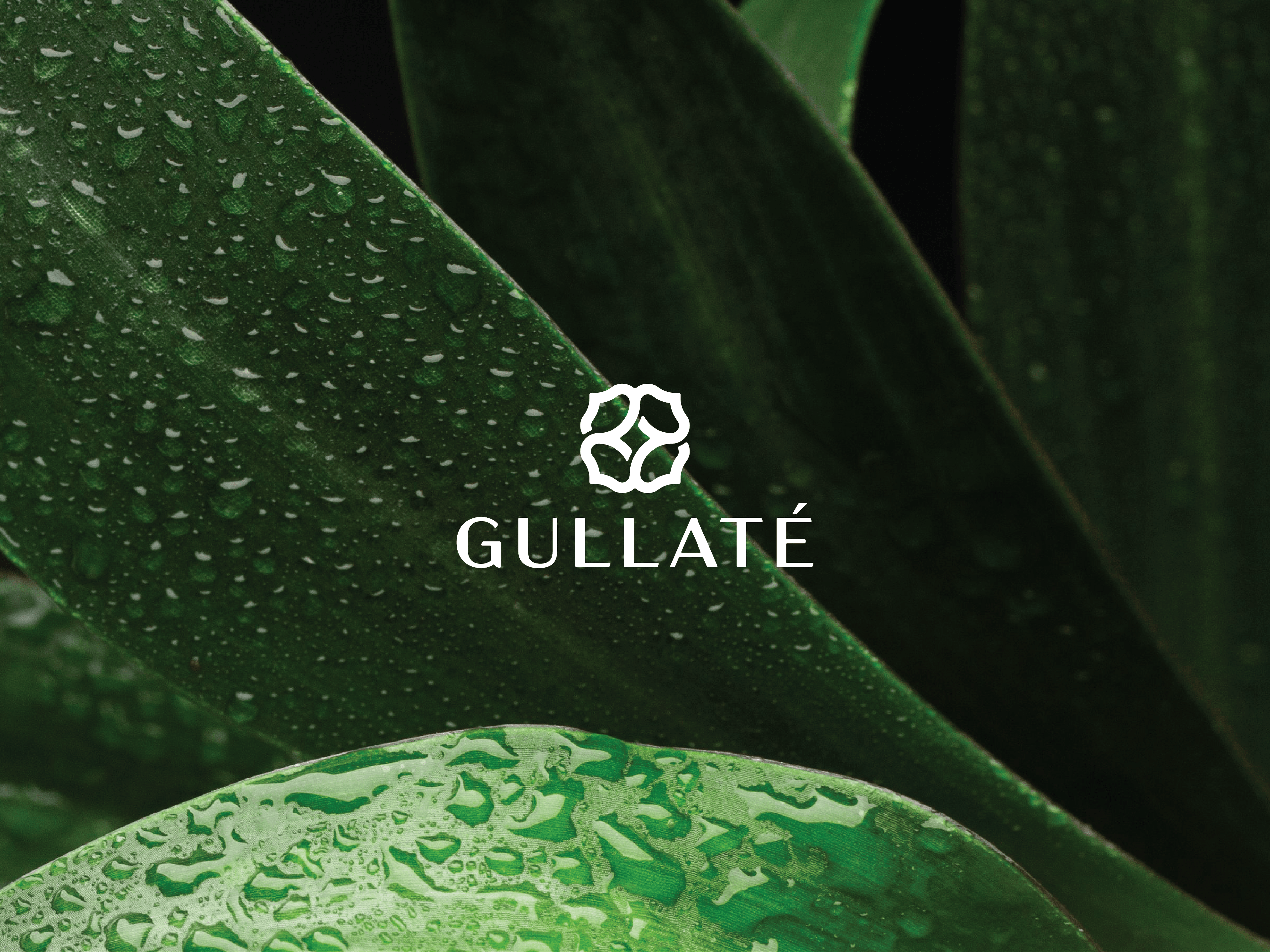 Gullate